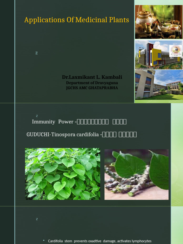 Medicinal Plants for Health Benefits | PDF | Immune System | Uterus
