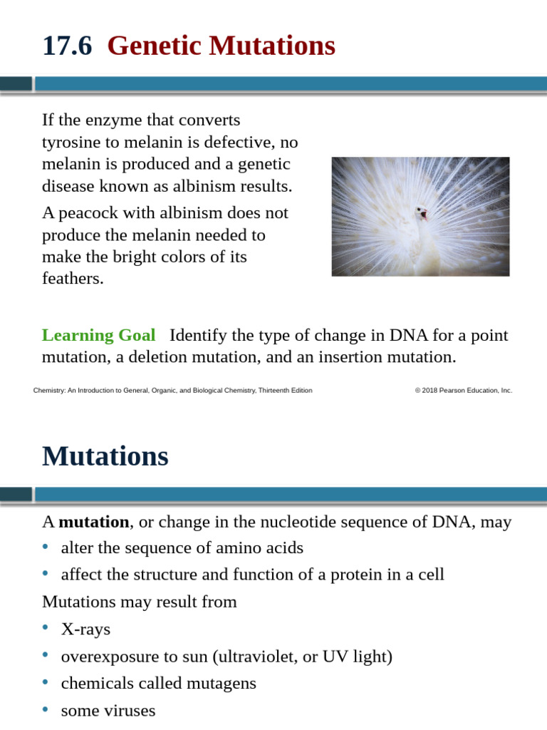 Understanding Genetic Mutations in DNA | PDF | Mutation | Point Mutation