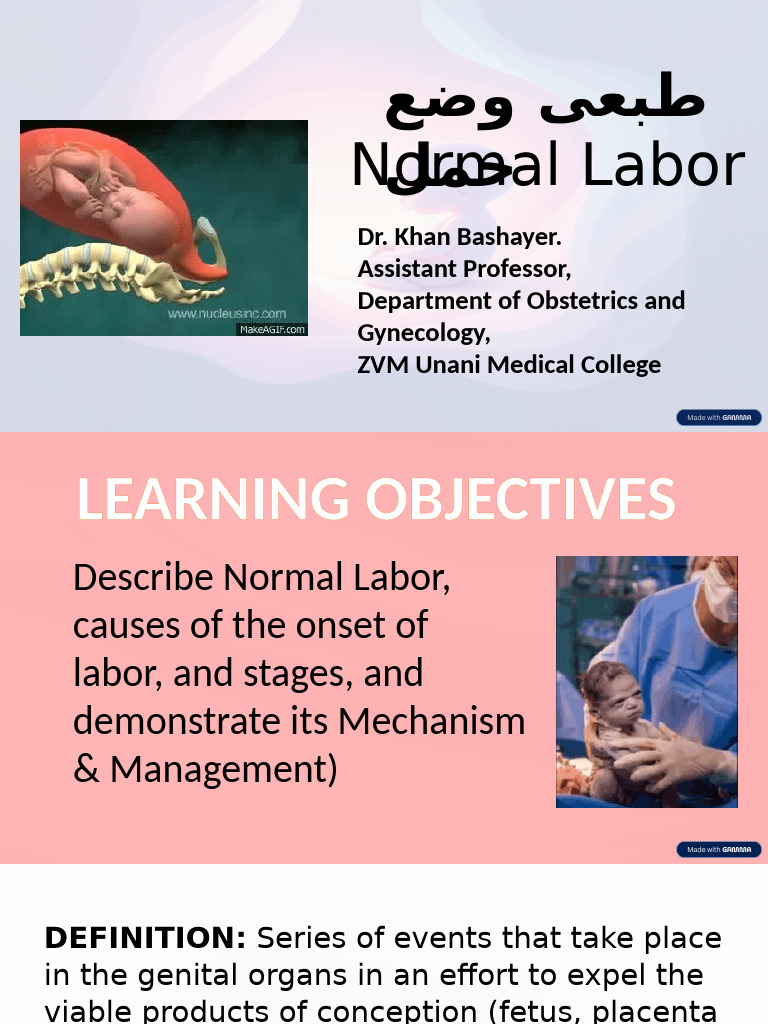 Understanding Normal Labor Stages | PDF | Childbirth | Uterus