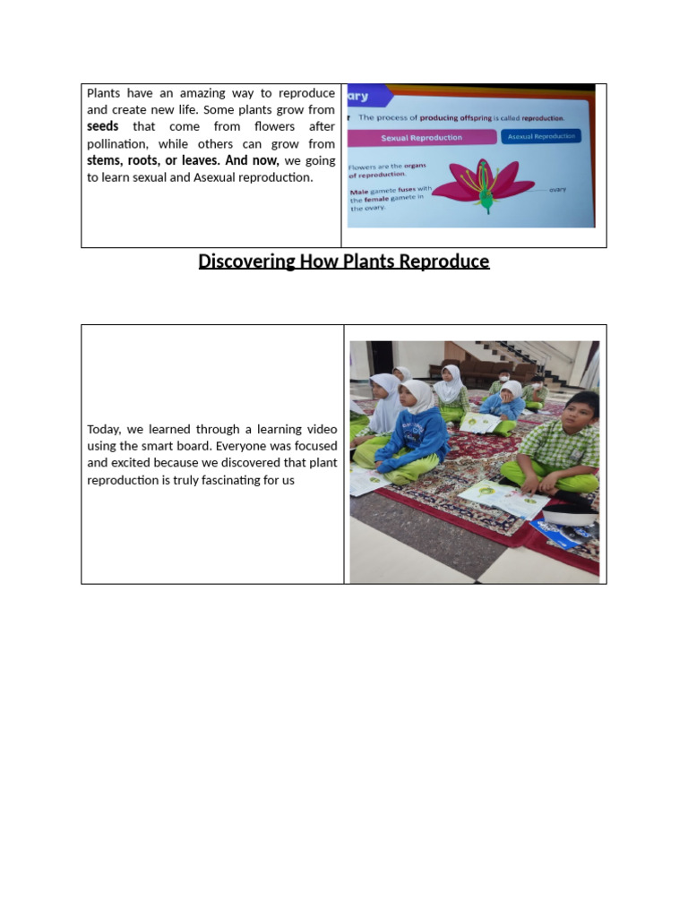 How Plants Reproduce: A Learning Journey | PDF