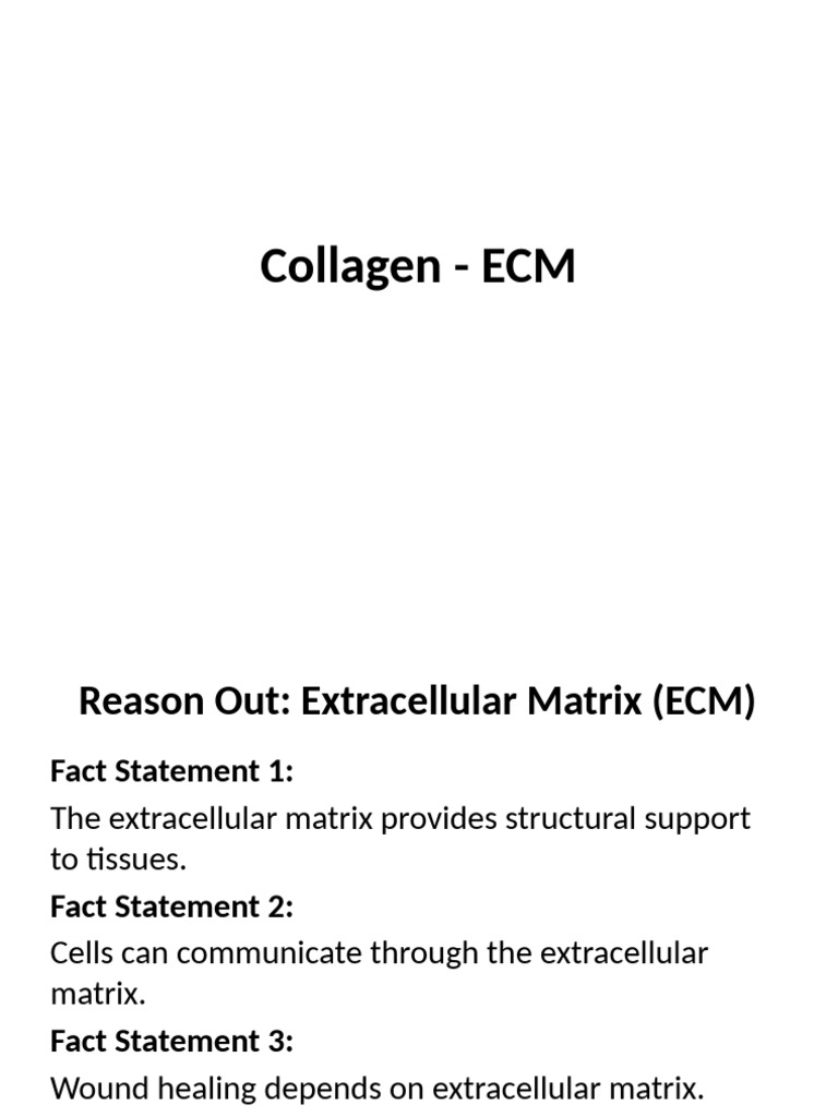 Collagen ECM | PDF