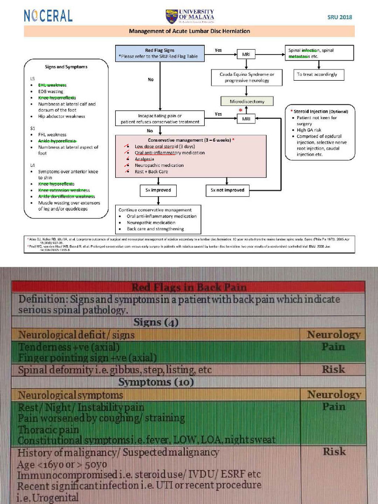 Algorithm For Spine Cases | PDF | Nervous System | Clinical Medicine