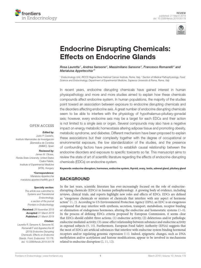 Endocrine Disrupting Chemicals Impact | PDF | Endocrine System ...