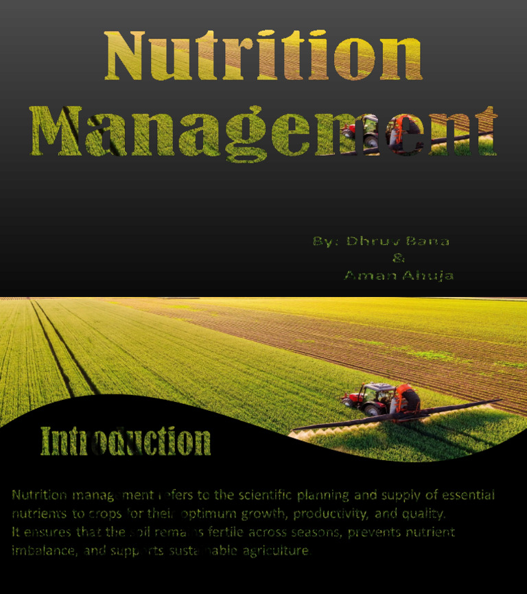 Science Activity | PDF