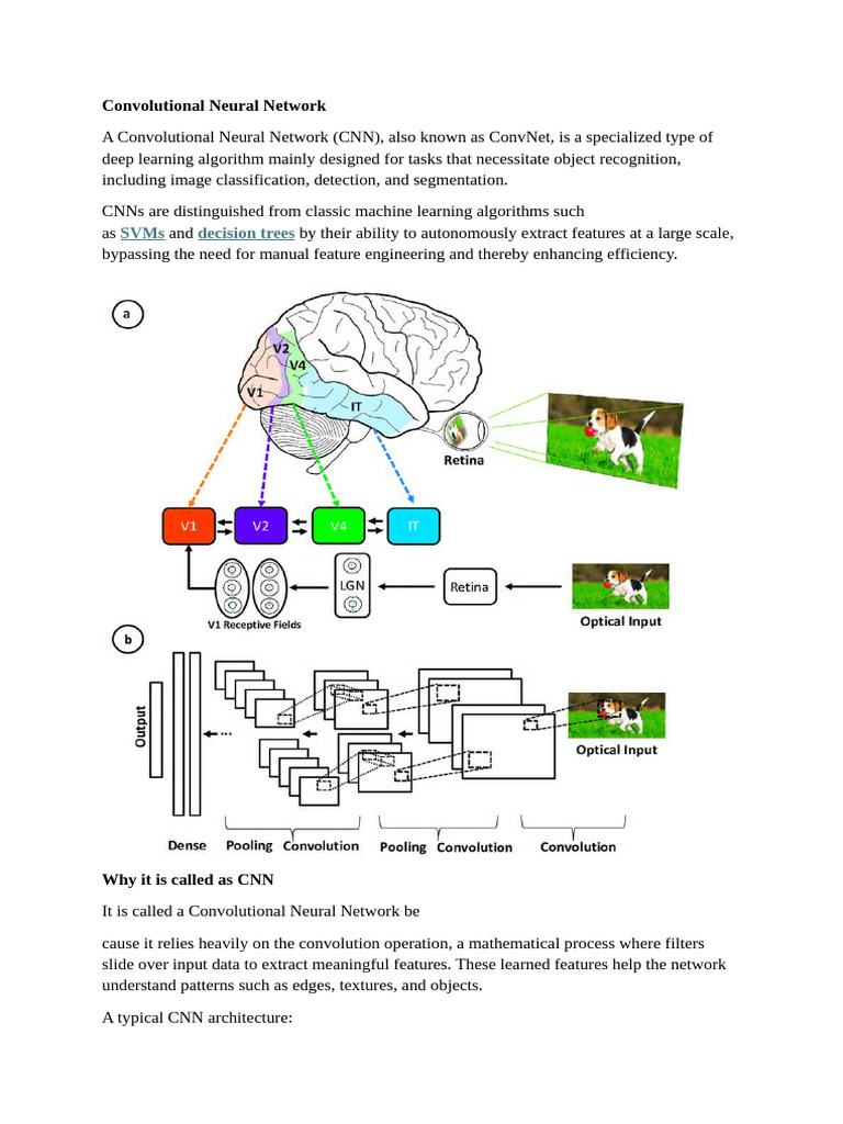 Convolutional Neural Network | PDF | Learning | Statistical Classification