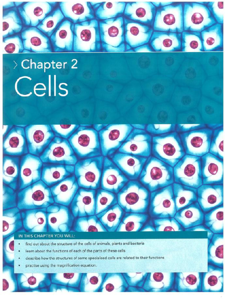 041 058 | PDF