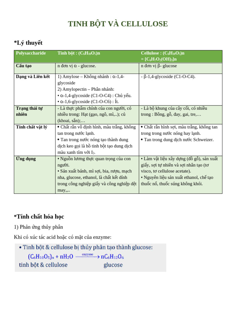 Tinh B T Và Cellulose | PDF
