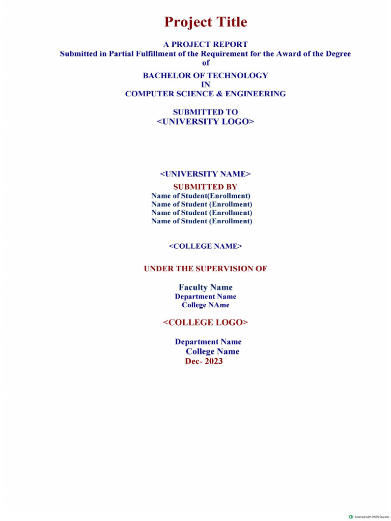 Project Format First Year | PDF
