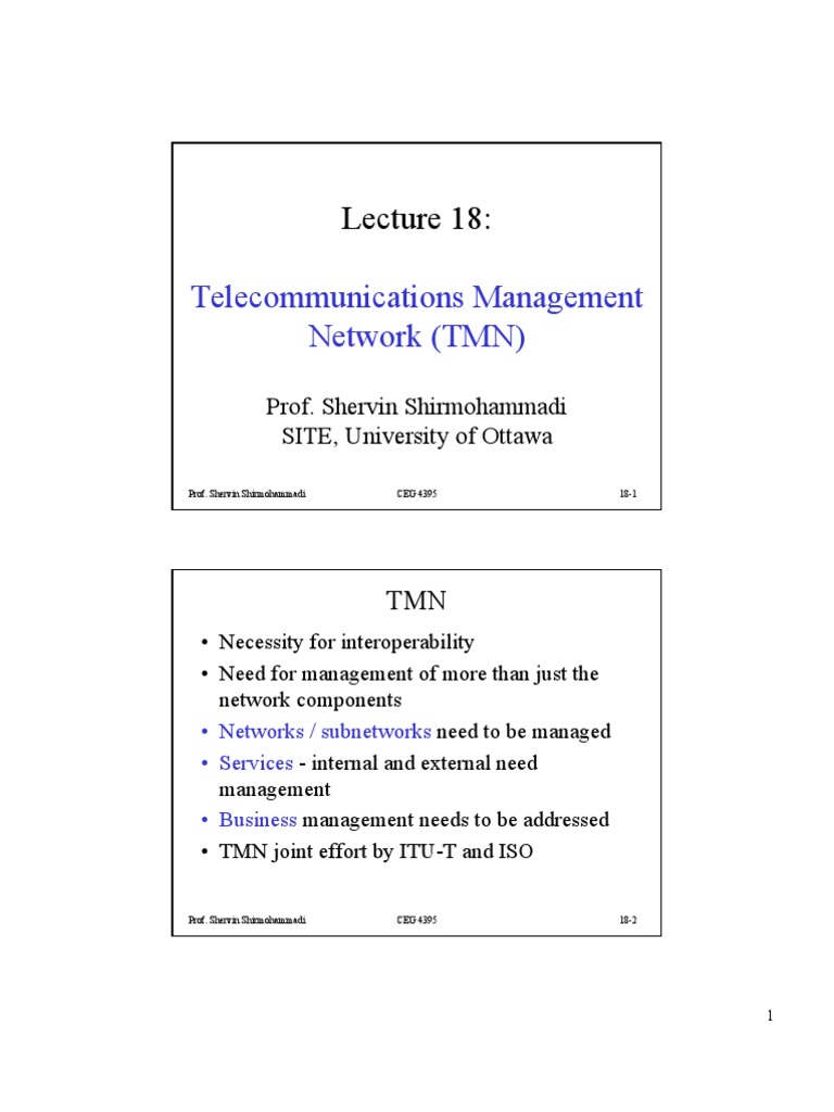 TMN Architecture and Management Overview | PDF | Computers