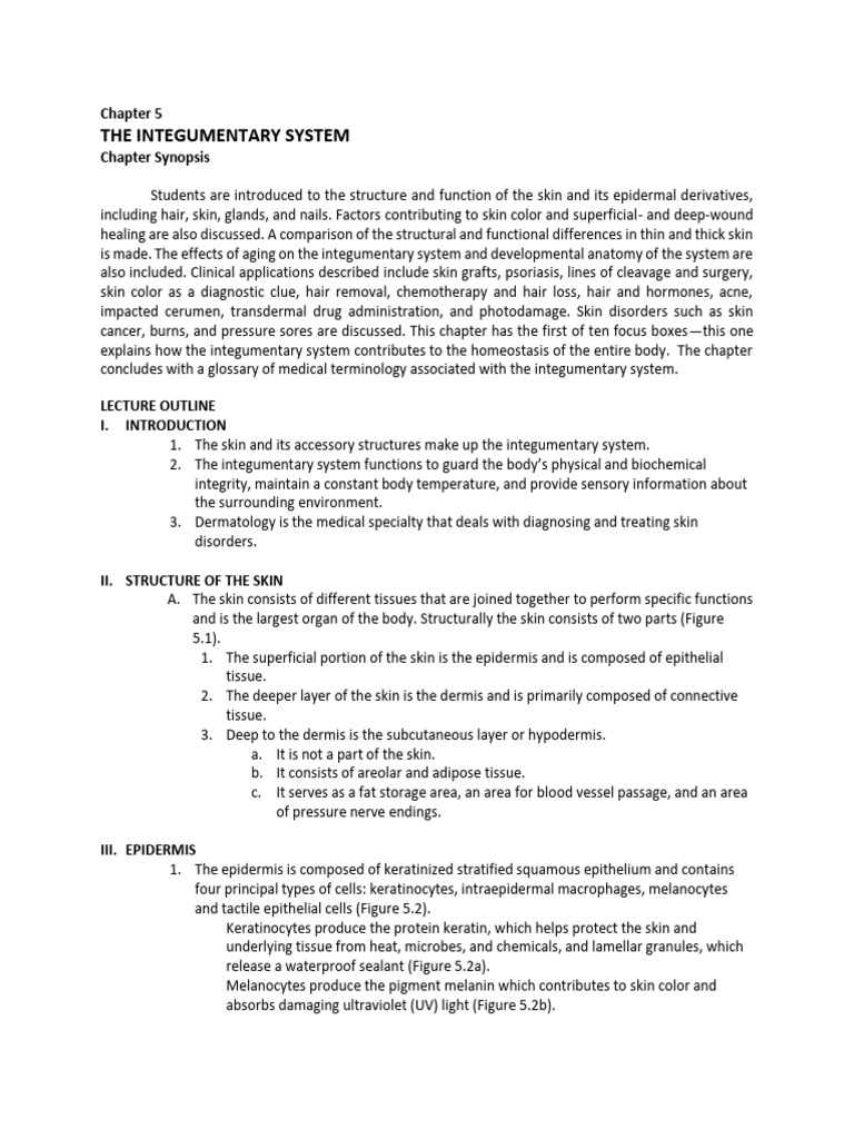 Integumentary System Overview and Functions | PDF | Skin ...