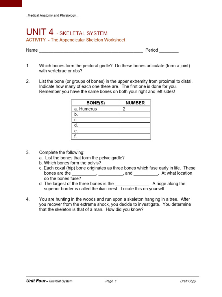 Appendicular Skeleton Worksheet | PDF | Pelvis | Skeleton