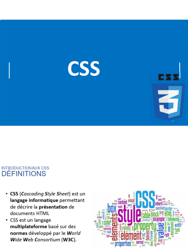 Introduction aux CSS et Sélecteurs | PDF | Élément HTML | Internet