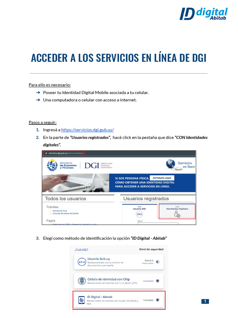 Manual-Acceder A Dgi | PDF