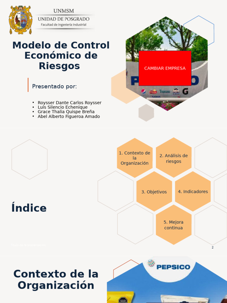Caso Control Económico de Riesgos | PDF