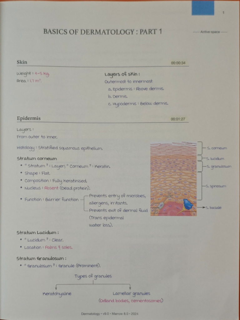 Derm | PDF