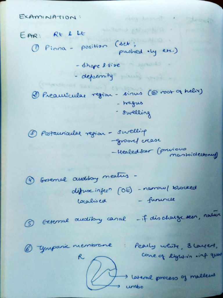 ENT Examination | PDF