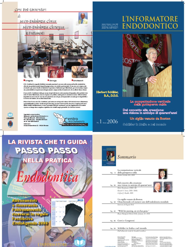 Tecnica de Shilder | PDF