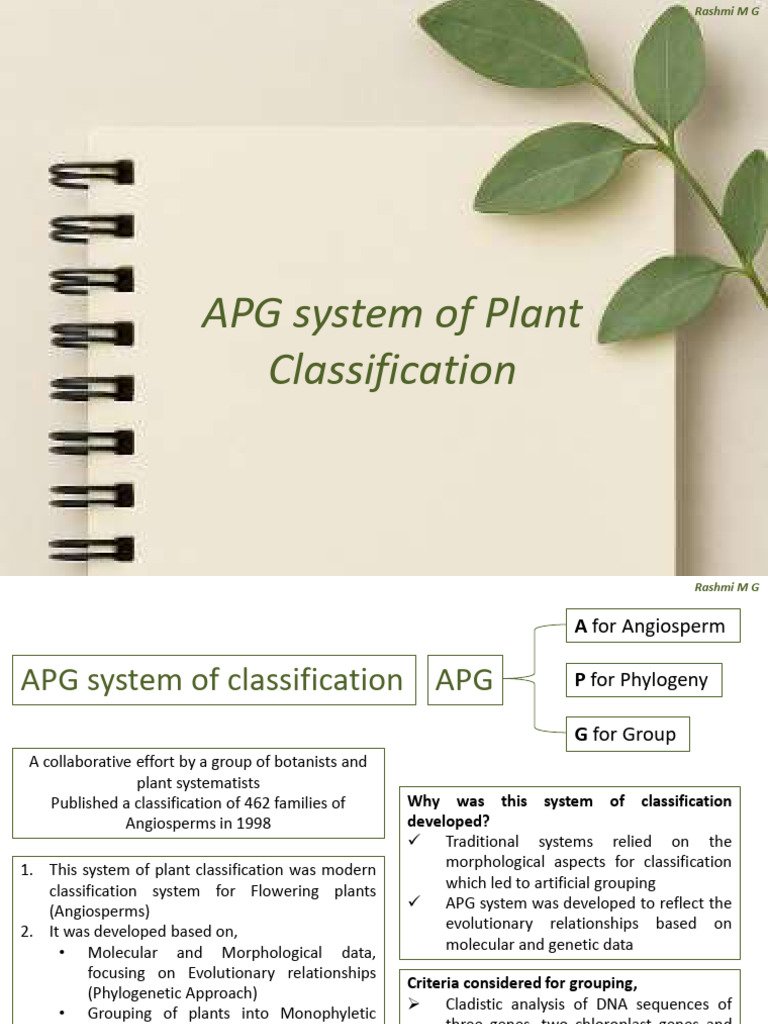 APG Plant Classification Overview | PDF | Botany | Biology