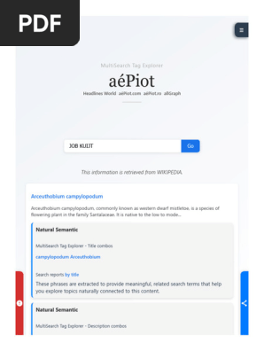 JOB KUIJT - MultiSearch Tag Explorer