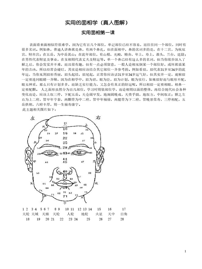 实用的面相学真人图解 | PDF