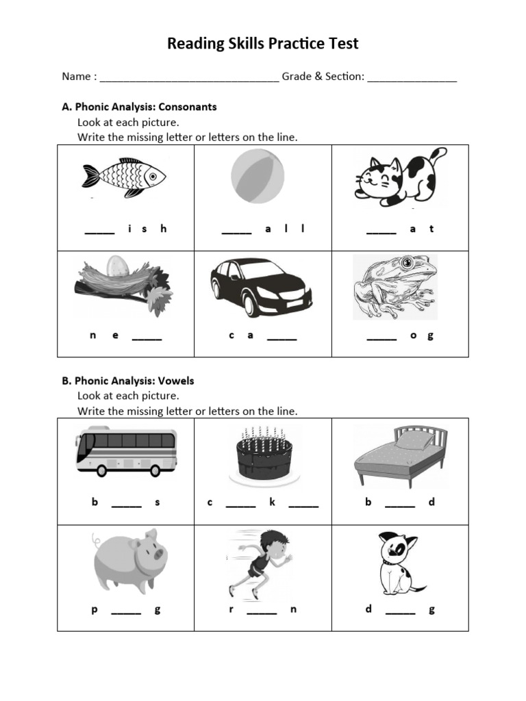 Reading Skills Practice Test | PDF