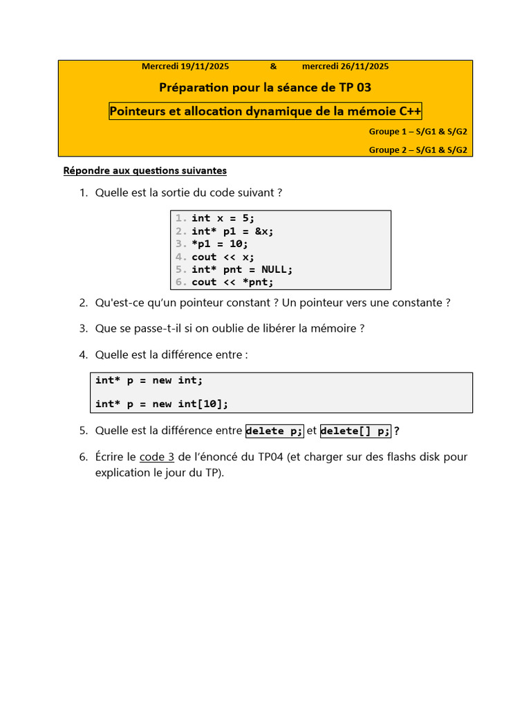 TP C++ : Pointeurs et Mémoire Dynamique | PDF