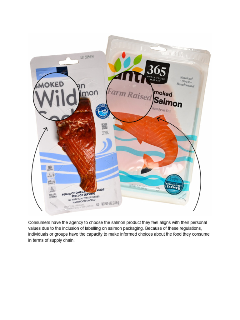 Informed Choices in Salmon Packaging | PDF