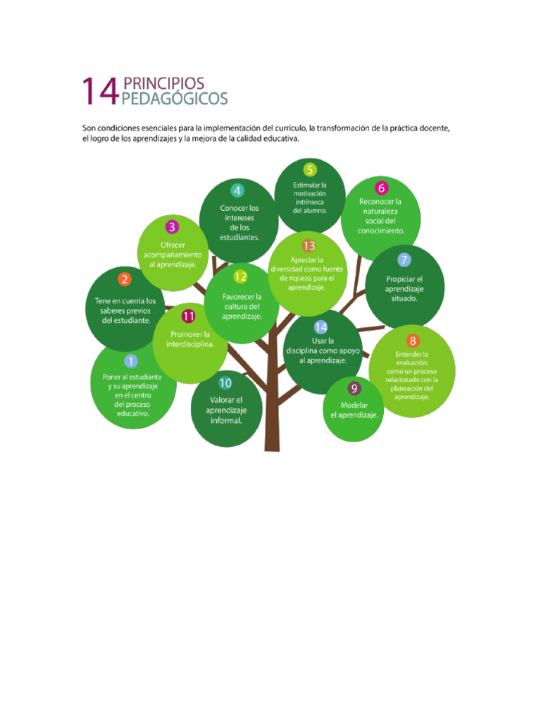 14 Principios Pedagogicos Plan 2017-18 | PDF | Aprendizaje | Enseñando
