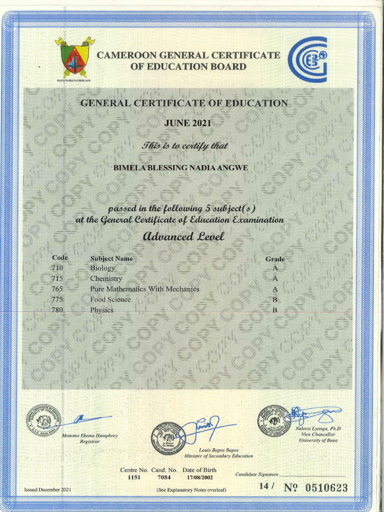 Advanced Level | PDF