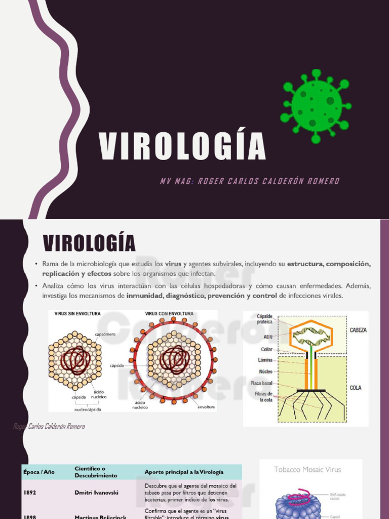Virología (Pre) | PDF | Virus | Retrovirus