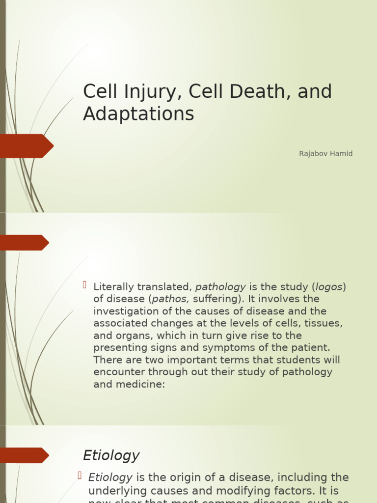 1. Cell Injury, Cell Death and Cell Adaptation | PDF | Necrosis | Apoptosis