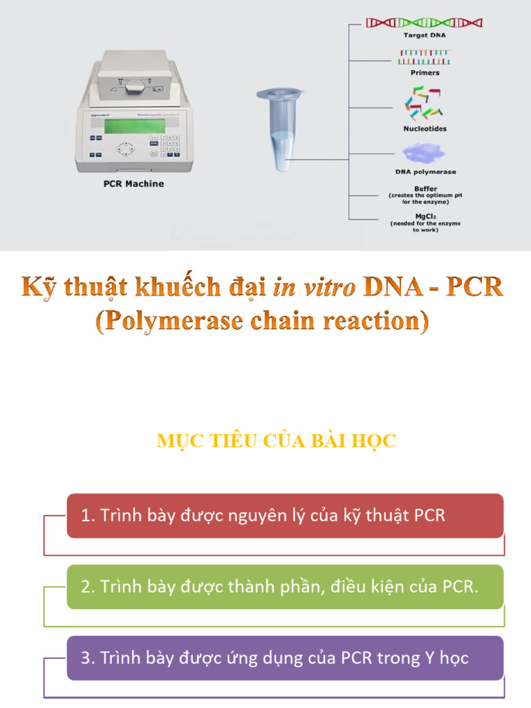 Kỹ thuật PCR | PDF