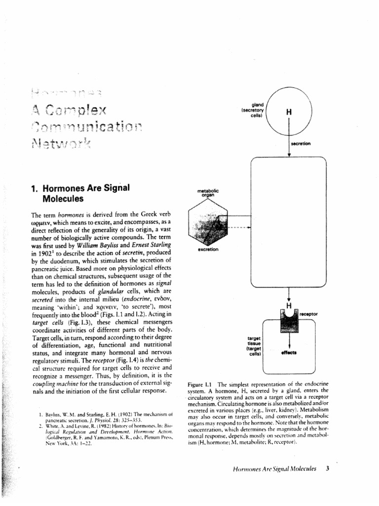 Hormones A Complex Comunication Network | PDF