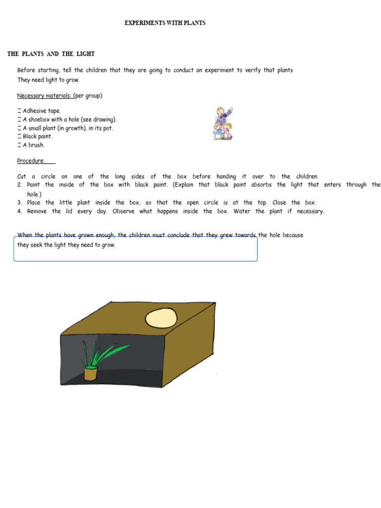 Plant Growth Experiments for Kids | PDF | Insects | Leaf