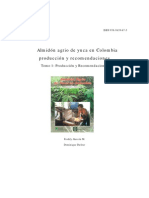 Almidón Agrio de Yuca en Colombia Producción y Recomendaciones (E)