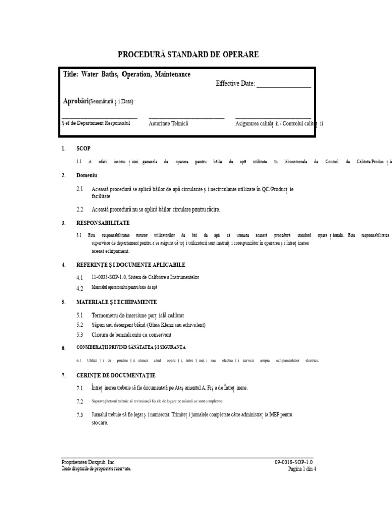 Exemplu | PDF