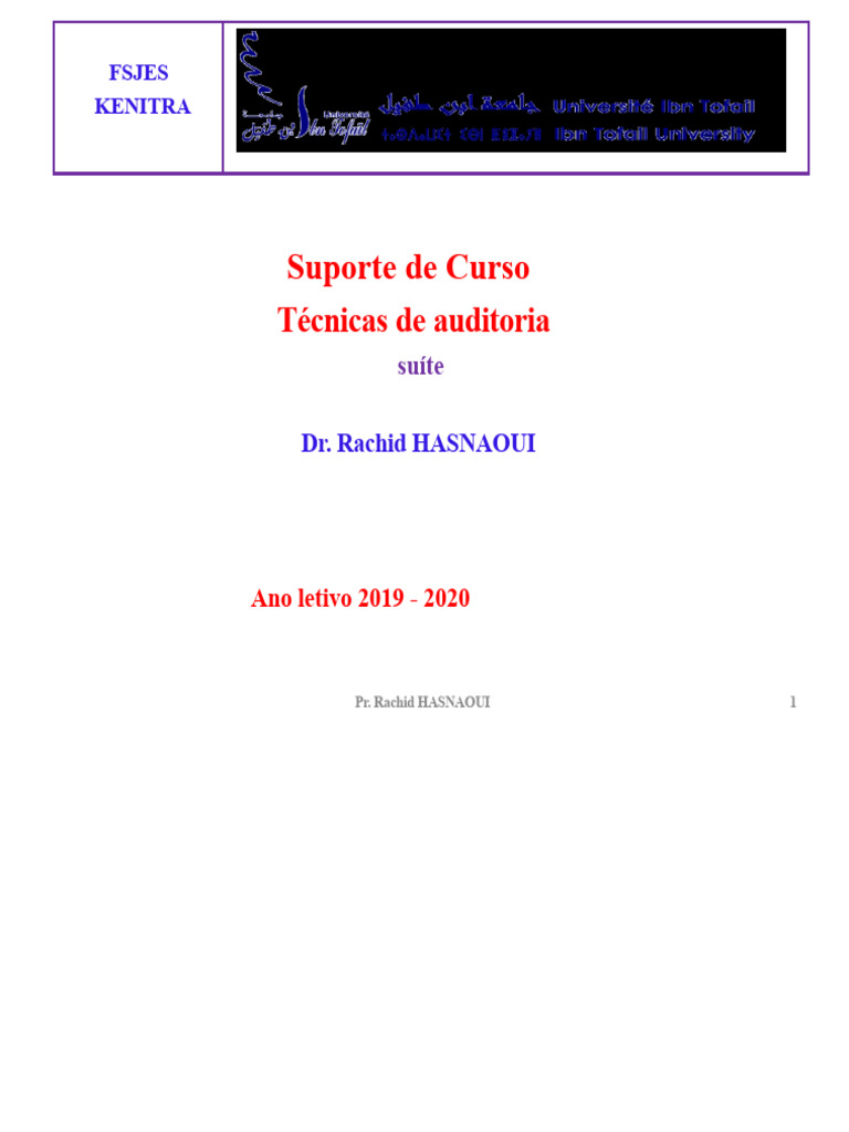Técnicas de Auditoria Contábil e Controle Interno | PDF | Contabilidade ...