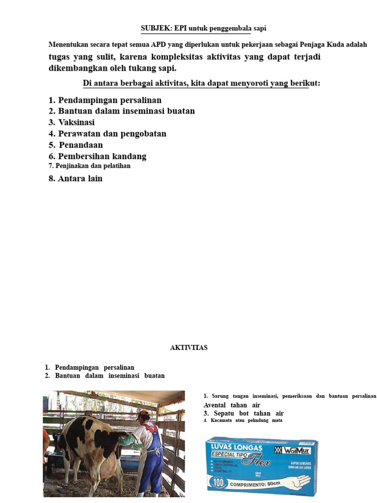 APD Penting untuk Penggembala Sapi | PDF