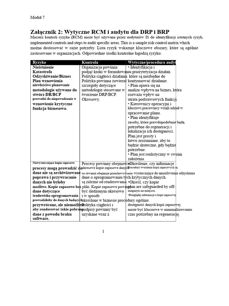 BCP Ryzyko Kontrola PDF | PDF
