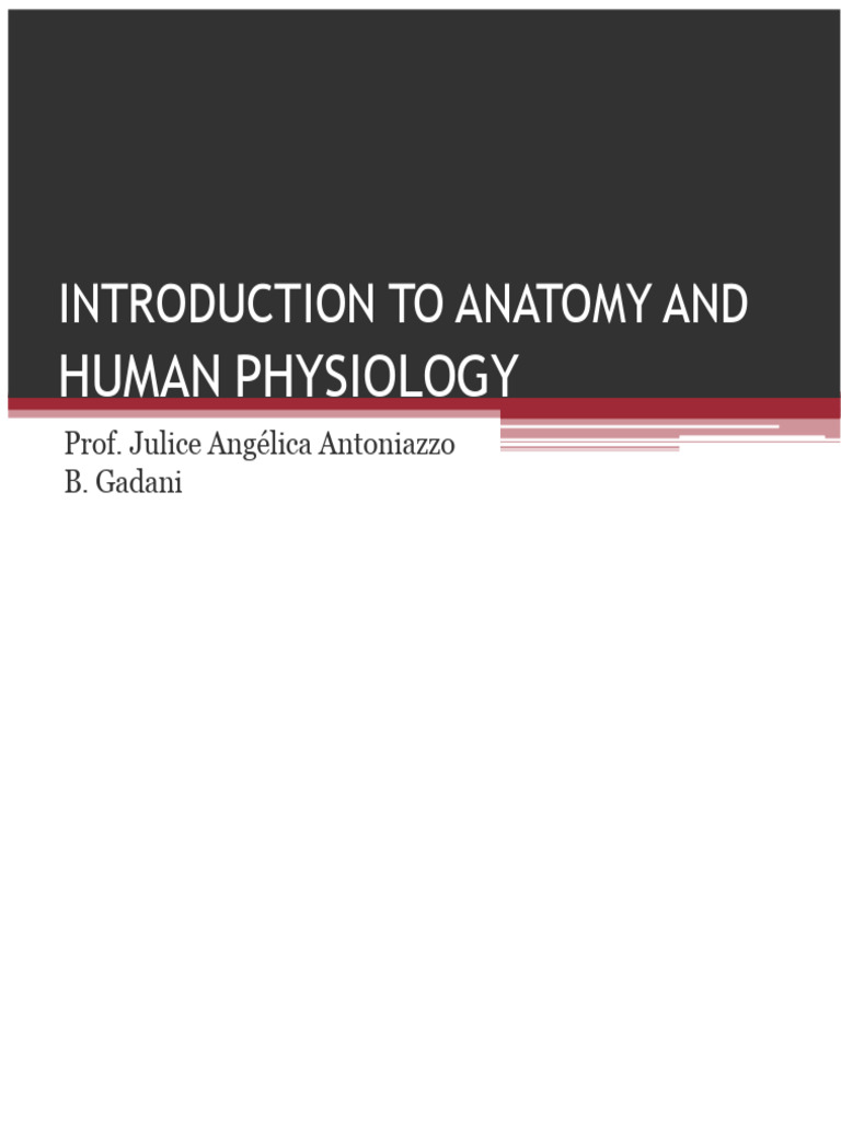 Anatomy and Physiology Overview | PDF | Anatomical Terms Of Location ...
