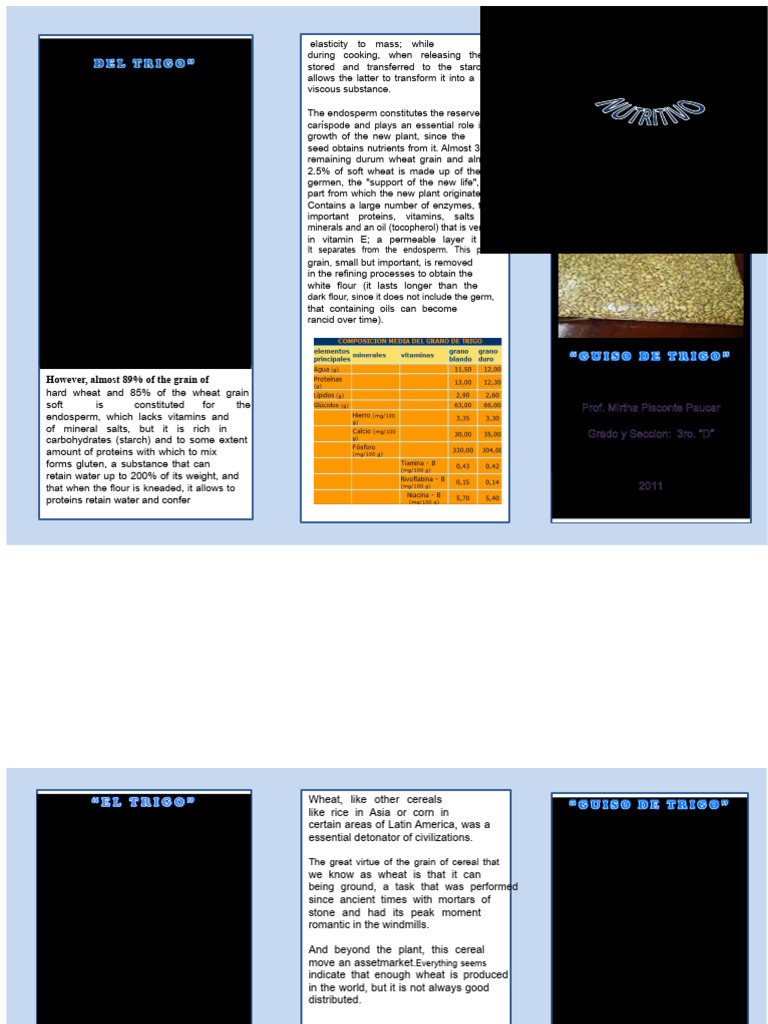 Wheat Triptych | PDF | Cereals | Flour