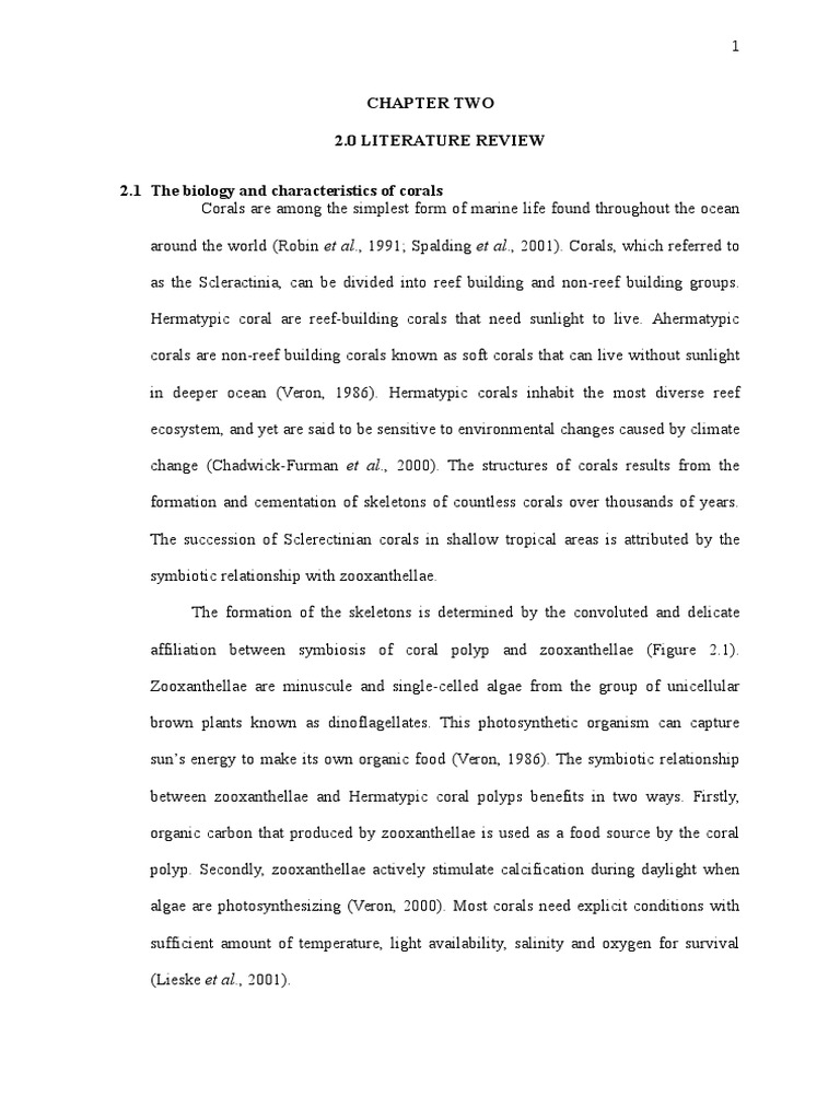 What is a literature review image