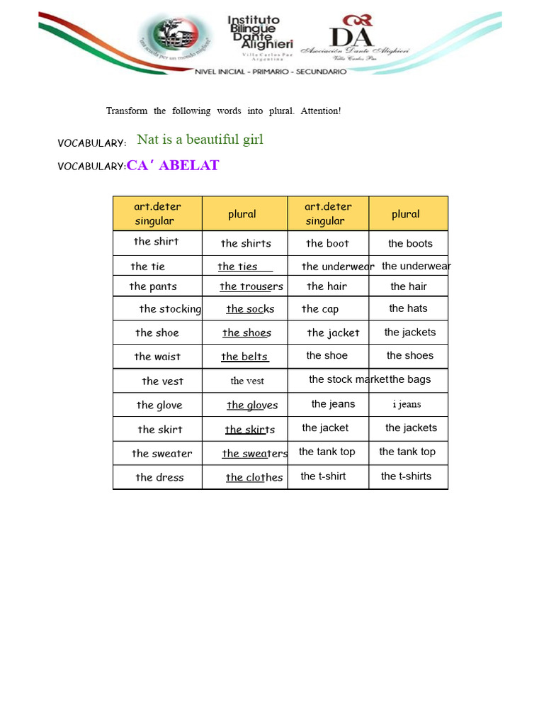 Plural Forms of Common Nouns | PDF