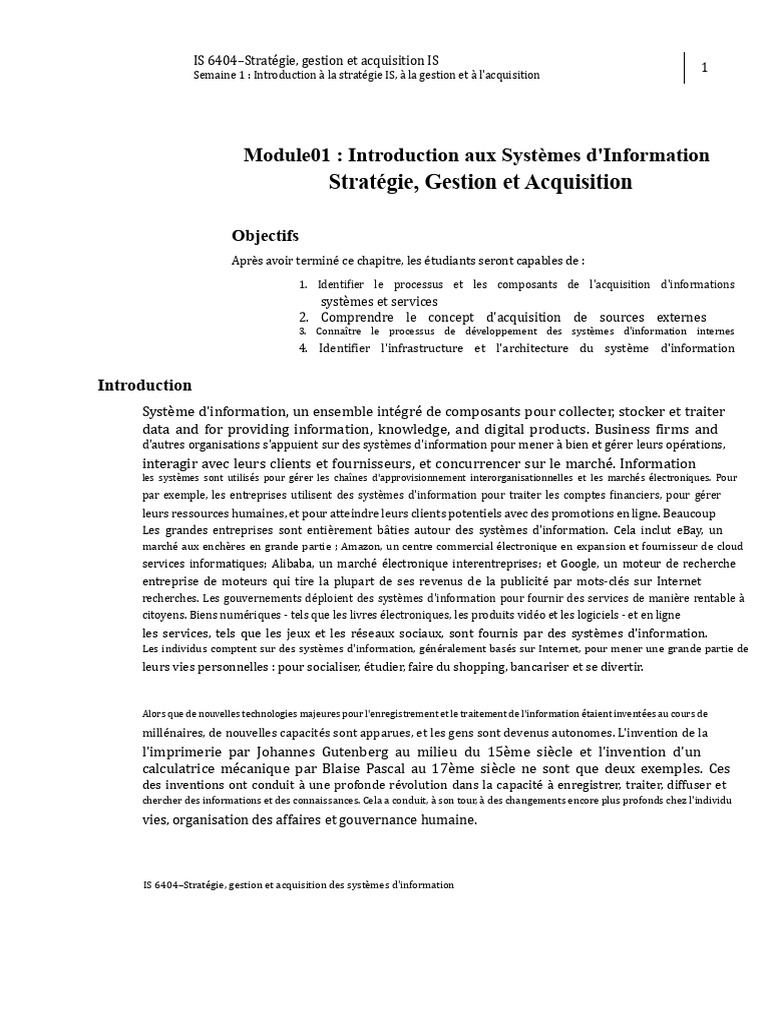 Stratégie et gestion des systèmes d'information | PDF | Système d ...