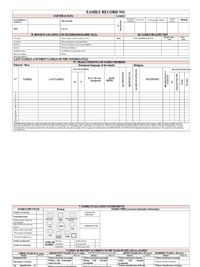 Family Health Assessment and Risks | PDF | Water | Violence