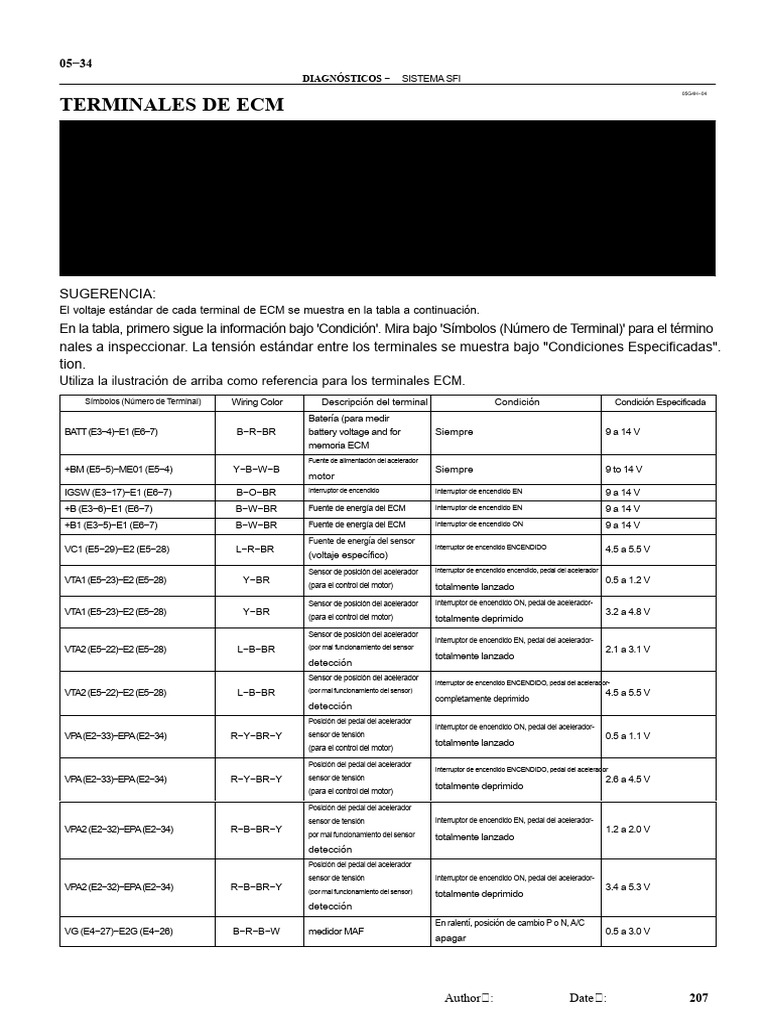 Diagnóstico de Terminales ECM SFI | PDF | Motores