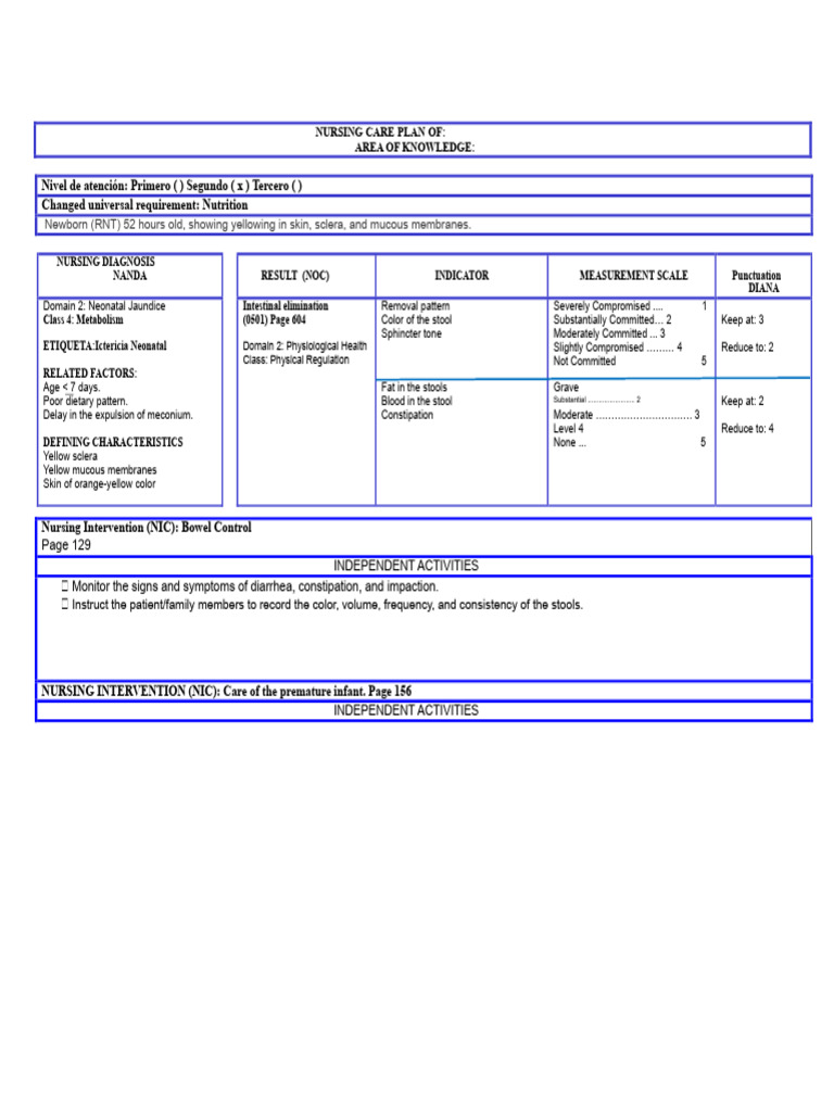 Nursing Care Plan For Neonatal Jaundice | PDF | Digestive Diseases ...