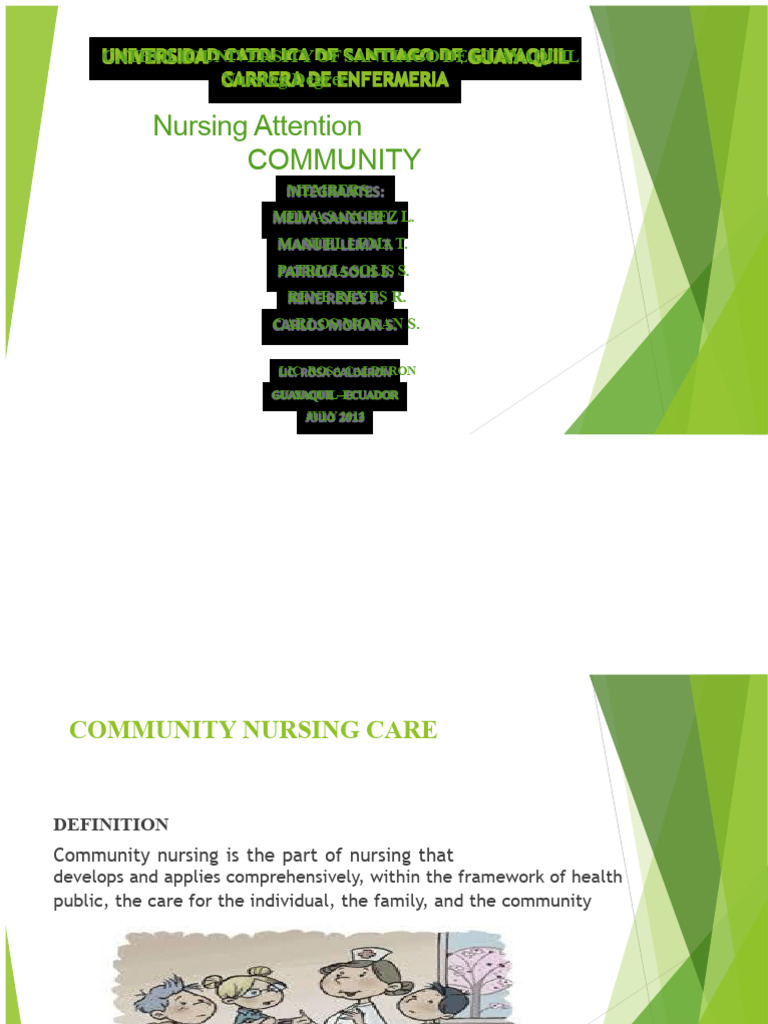 Community Nursing Care Strategies | PDF | Health Care