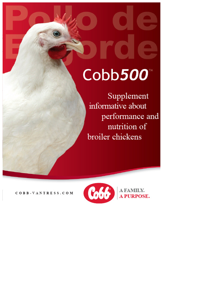 Broiler Chicken Nutrition & Performance Guide | PDF | Broiler | Dietary ...
