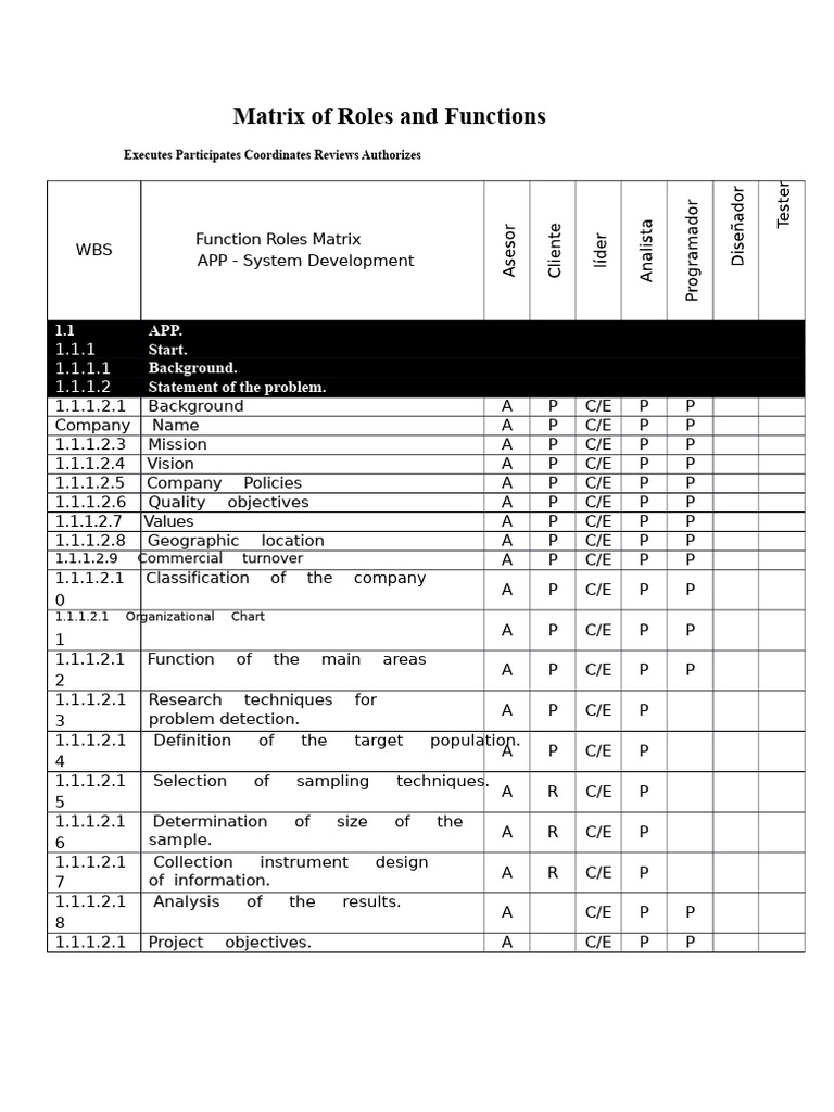 Project Roles and Functions Matrix | PDF | Feasibility Study | Software ...